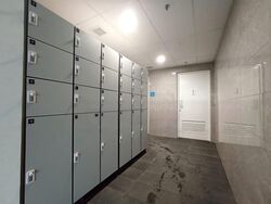 REVV (D22), Factory #465995161